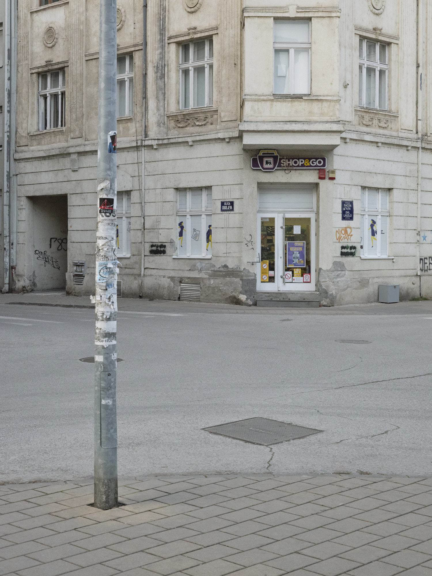 Immagine 2