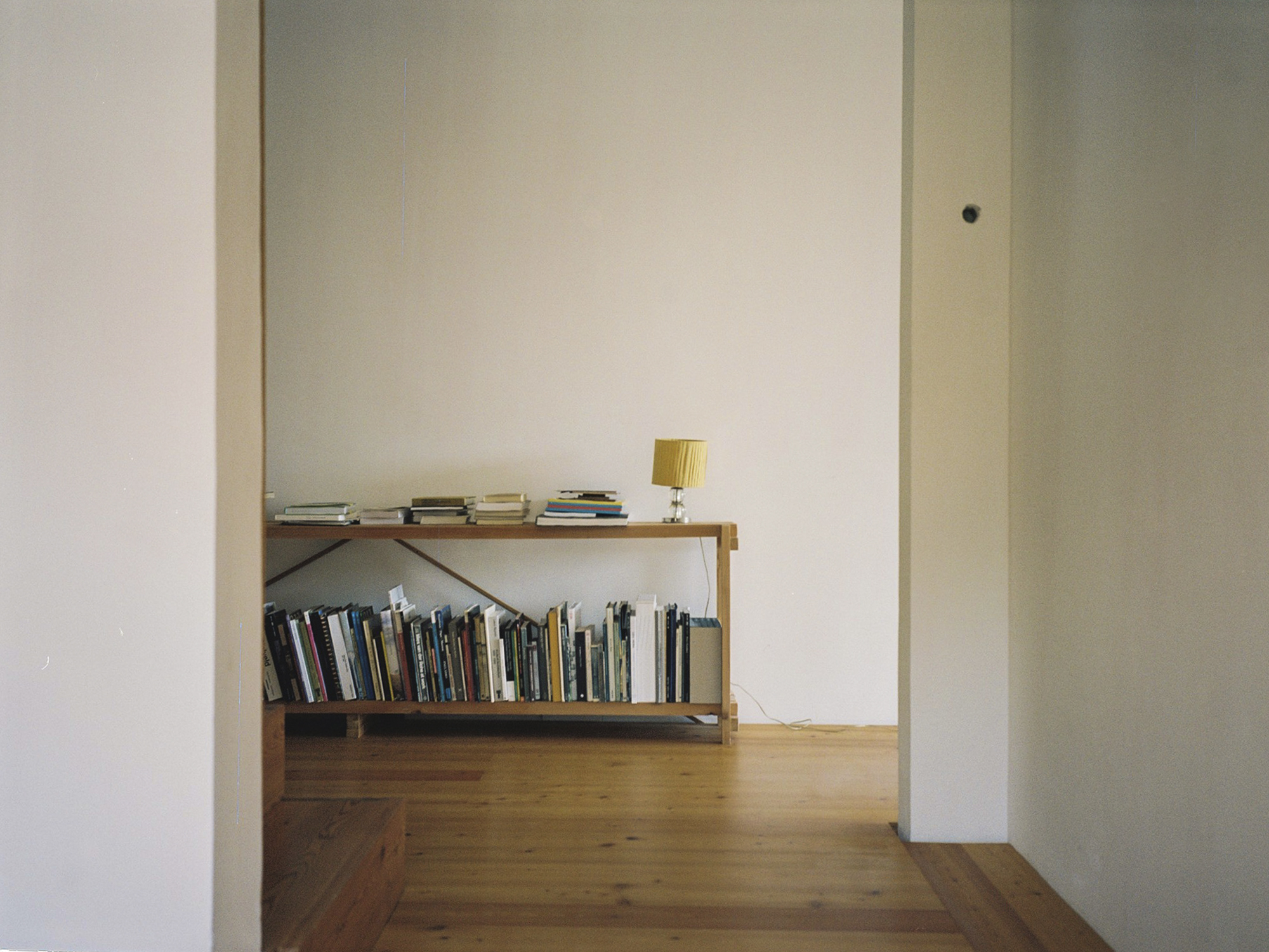 Immagine 3